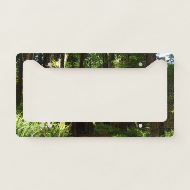 Redwoods and Ferns at Redwood National Park License Plate Frame (Front)