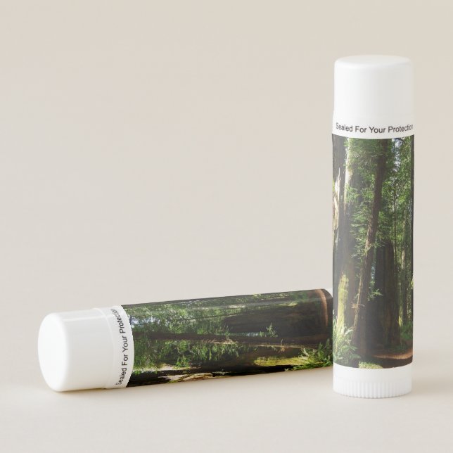 Redwoods and Ferns at Redwood National Park Lip Balm (Front)