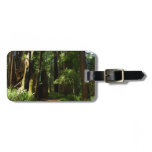 Redwoods and Ferns at Redwood National Park Luggage Tag