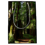 Redwoods and Ferns at Redwood National Park Medium Gift Bag
