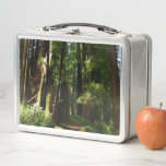 Redwoods and Ferns at Redwood National Park Metal Lunch Box