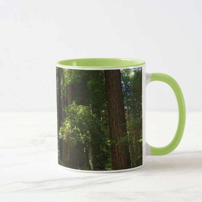 Redwoods and Ferns at Redwood National Park Mug (Right)