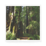 Redwoods and Ferns at Redwood National Park Napkins