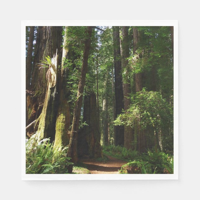 Redwoods and Ferns at Redwood National Park Napkins (Front)