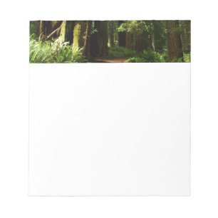 Redwoods and Ferns at Redwood National Park Notepad