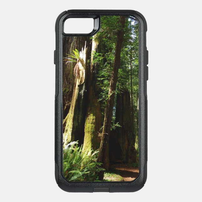 Redwoods and Ferns at Redwood National Park Otterbox iPhone Case (Back)
