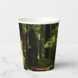 Redwoods and Ferns at Redwood National Park Paper Cups