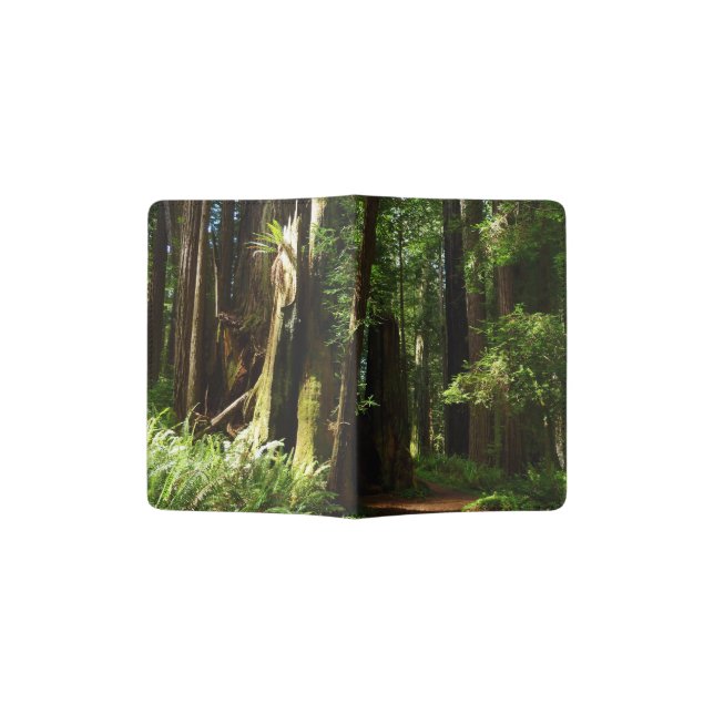 Redwoods and Ferns at Redwood National Park Passport Holder (Opened)