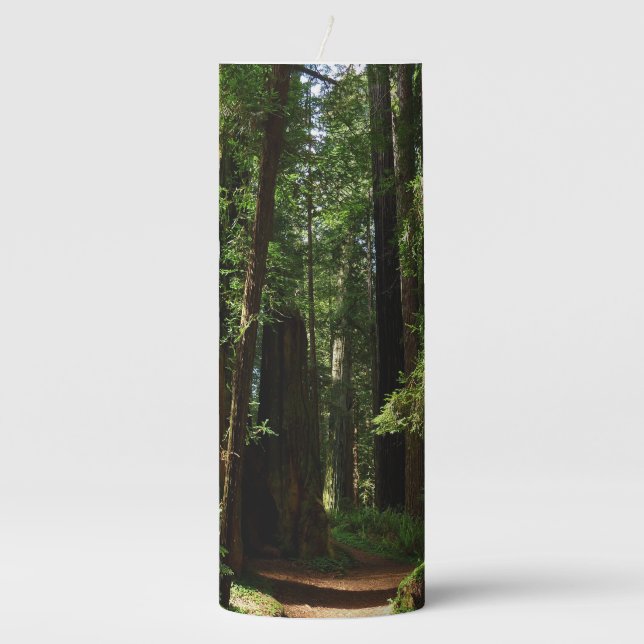 Redwoods and Ferns at Redwood National Park Pillar Candle (Front)