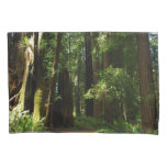 Redwoods and Ferns at Redwood National Park Pillow Case
