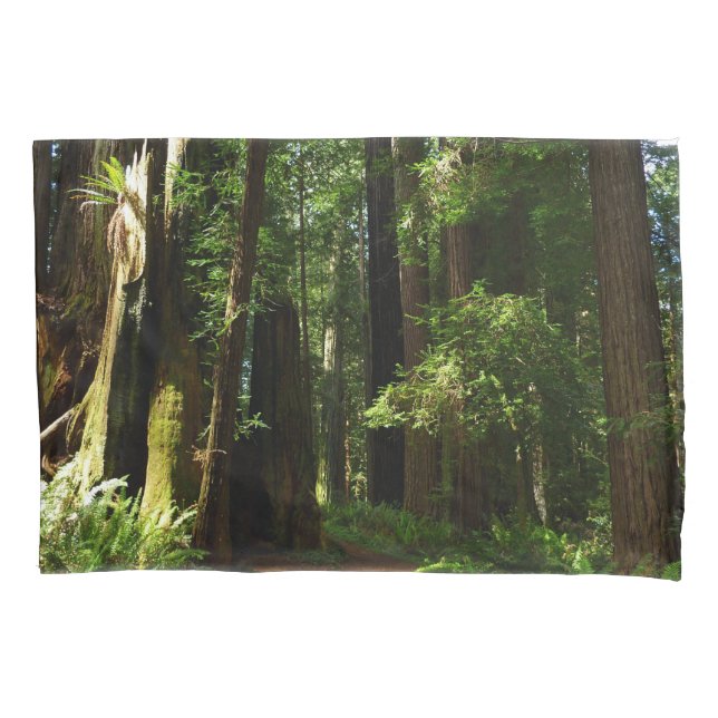 Redwoods and Ferns at Redwood National Park Pillow Case (Front)