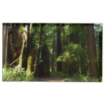 Redwoods and Ferns at Redwood National Park Place Card Holder