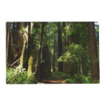 Redwoods and Ferns at Redwood National Park Placemat