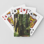 Redwoods and Ferns at Redwood National Park Playing Cards