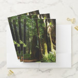 Redwoods and Ferns at Redwood National Park Pocket Folder