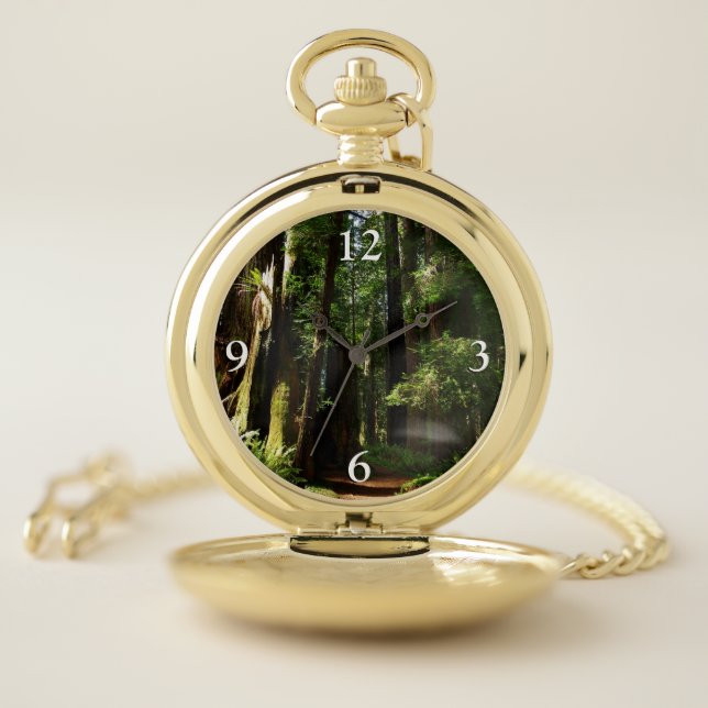 Redwoods and Ferns at Redwood National Park Pocket Watch (Inside)