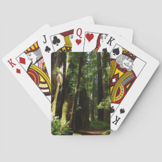 Redwoods and Ferns at Redwood National Park Poker Cards