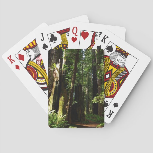 Redwoods and Ferns at Redwood National Park Poker Cards (Back)