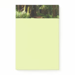 Redwoods and Ferns at Redwood National Park Post-it Notes