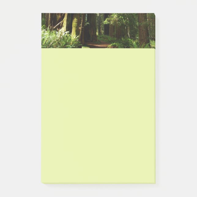 Redwoods and Ferns at Redwood National Park Post-it Notes (Front)