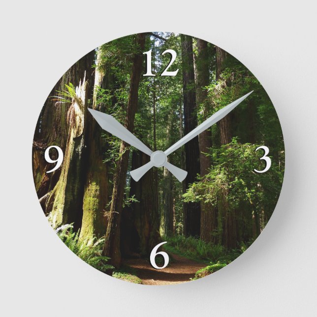 Redwoods and Ferns at Redwood National Park Round Clock (Front)