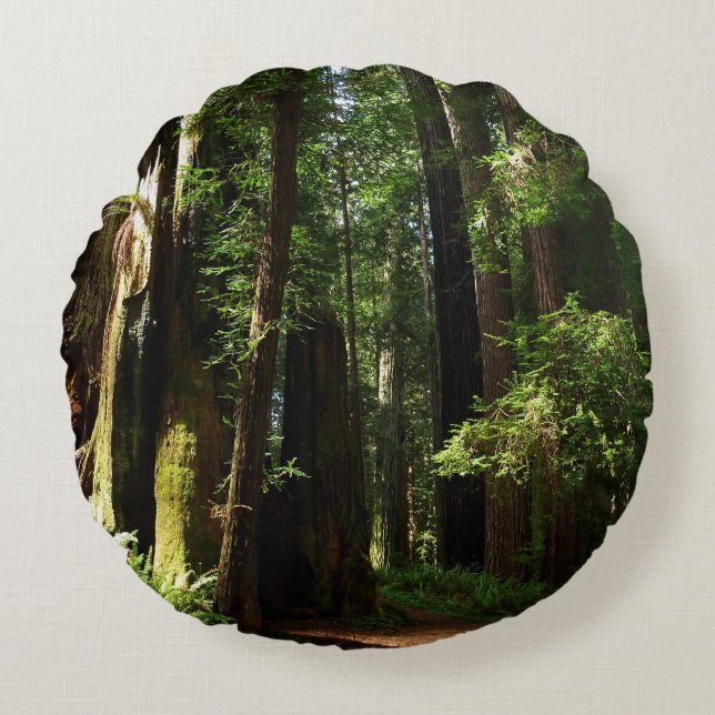 Redwoods and Ferns at Redwood National Park Round Pillow (Front)