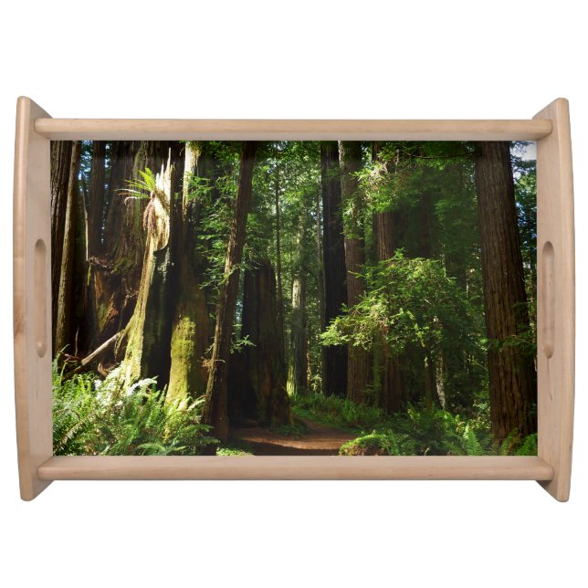 Redwoods and Ferns at Redwood National Park Serving Tray (Front)