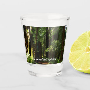 Redwoods and Ferns at Redwood National Park Shot Glass