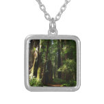 Redwoods and Ferns at Redwood National Park Silver Plated Necklace