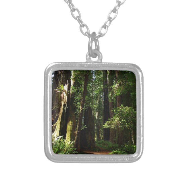 Redwoods and Ferns at Redwood National Park Silver Plated Necklace (Front)