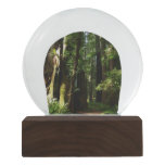 Redwoods and Ferns at Redwood National Park Snow Globe
