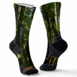 Redwoods and Ferns at Redwood National Park Socks