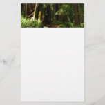 Redwoods and Ferns at Redwood National Park Stationery