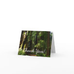Redwoods and Ferns at Redwood National Park Thank You Card