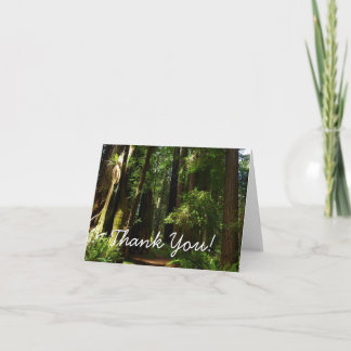 Redwoods and Ferns at Redwood National Park Thank You Card