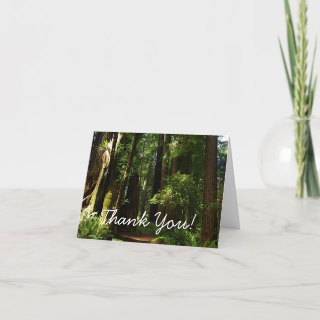 Redwoods and Ferns at Redwood National Park Thank You Card (Front)