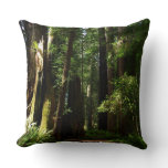 Redwoods and Ferns at Redwood National Park Throw Pillow