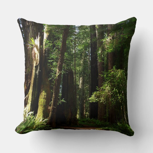 Redwoods and Ferns at Redwood National Park Throw Pillow (Front)