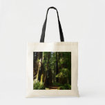 Redwoods and Ferns at Redwood National Park Tote Bag