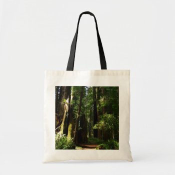 Redwoods And Ferns At Redwood National Park Tote Bag by mlewallpapers at Zazzle
