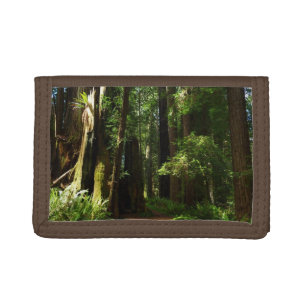 Redwoods and Ferns at Redwood National Park Trifold Wallet