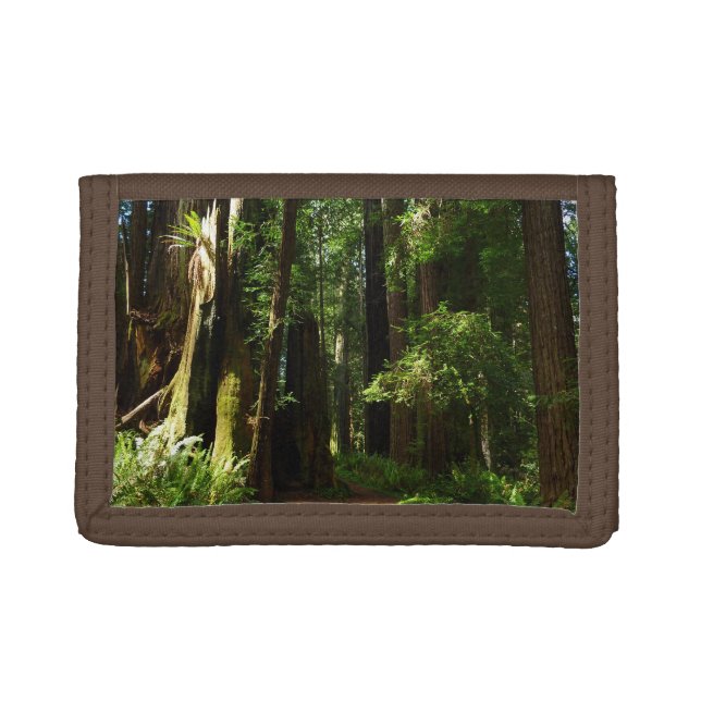 Redwoods and Ferns at Redwood National Park Trifold Wallet (Front)
