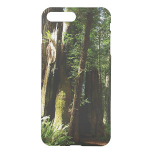 Redwoods and Ferns at Redwood National Park iPhone 8 Plus/7 Plus Case