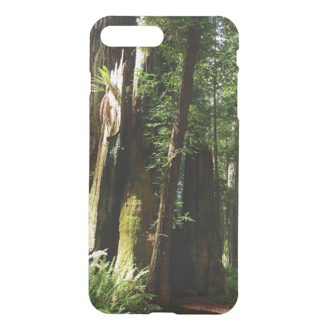 Redwoods and Ferns at Redwood National Park Uncommon iPhone Case (Back)