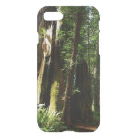 Redwoods and Ferns at Redwood National Park iPhone SE/8/7 Case