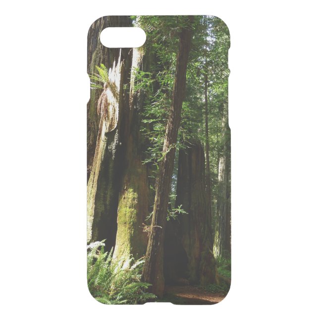 Redwoods and Ferns at Redwood National Park Uncommon iPhone Case (Back)