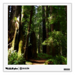 Redwoods and Ferns at Redwood National Park Wall Sticker