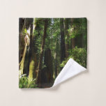 Redwoods and Ferns at Redwood National Park Wash Cloth