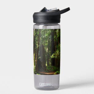 Redwoods and Ferns at Redwood National Park Water Bottle
