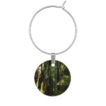 Redwoods and Ferns at Redwood National Park Wine Glass Charm